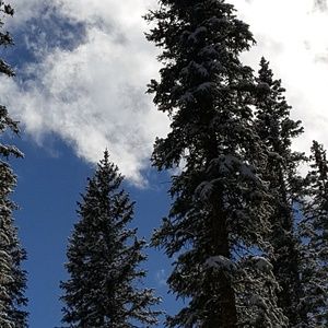 Meet your Posher, Tricia